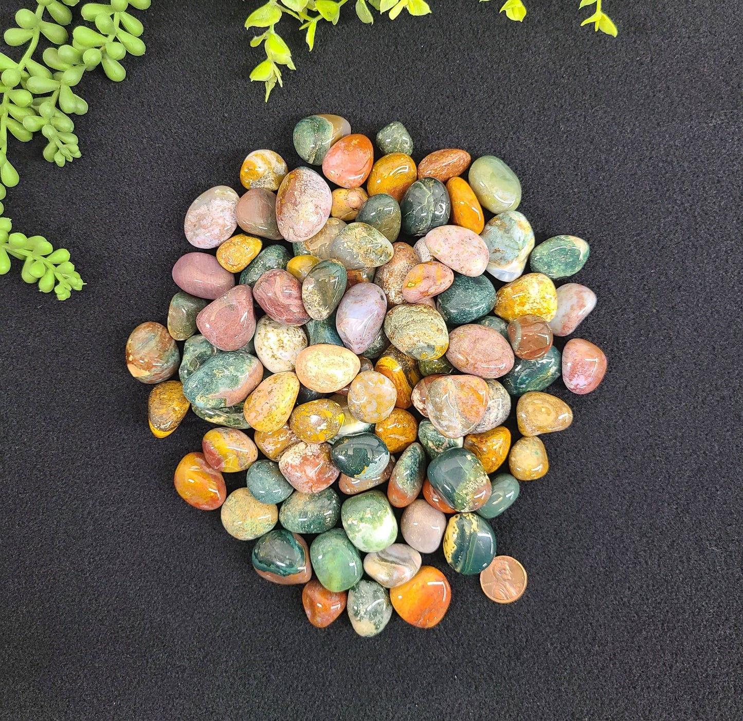 Ocean Jasper